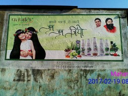 Rural Wall Branding