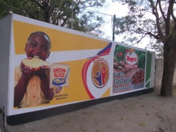 Digital Wall Painting